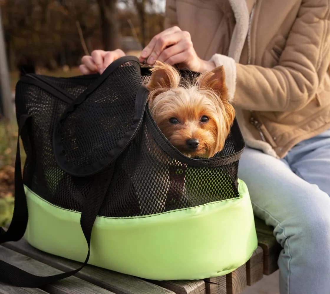 Pet ecommerce Hero Image